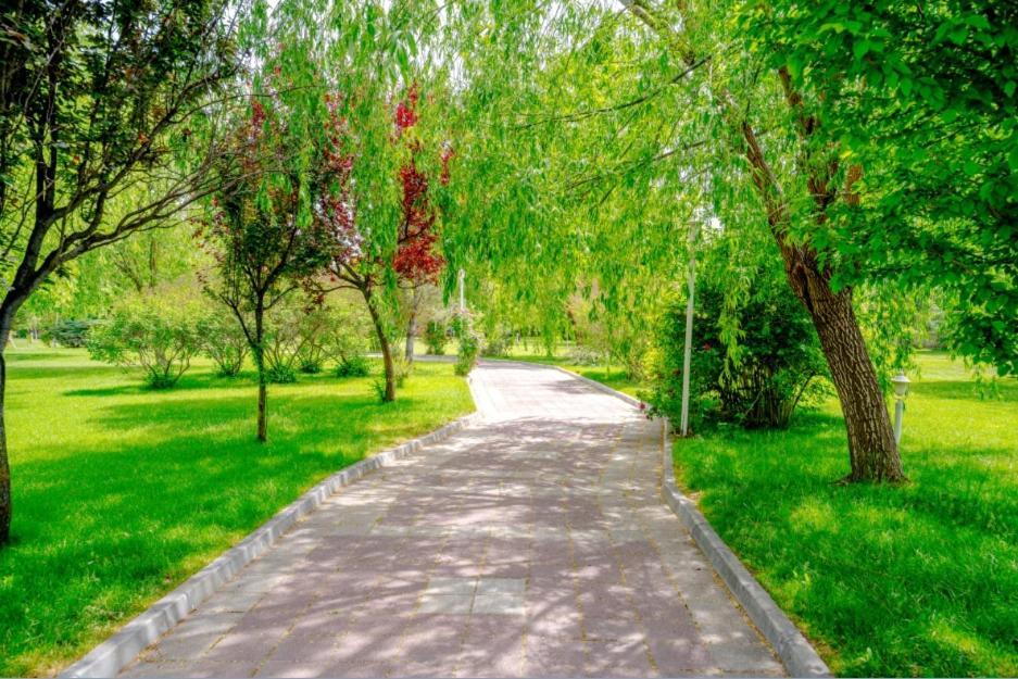 Korel Thermal Resort Afyonkarahisar Luaran gambar