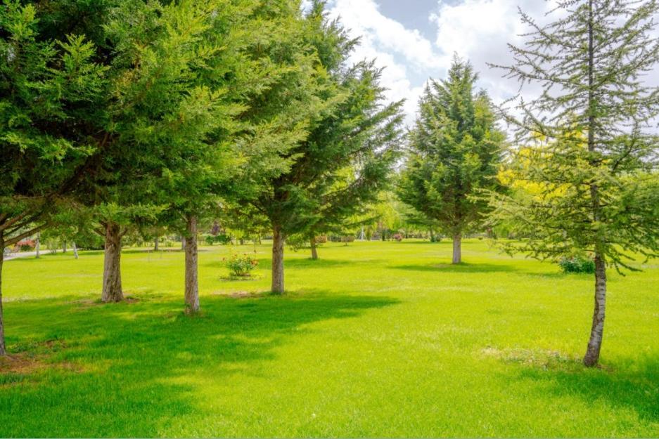 Korel Thermal Resort Afyonkarahisar Luaran gambar